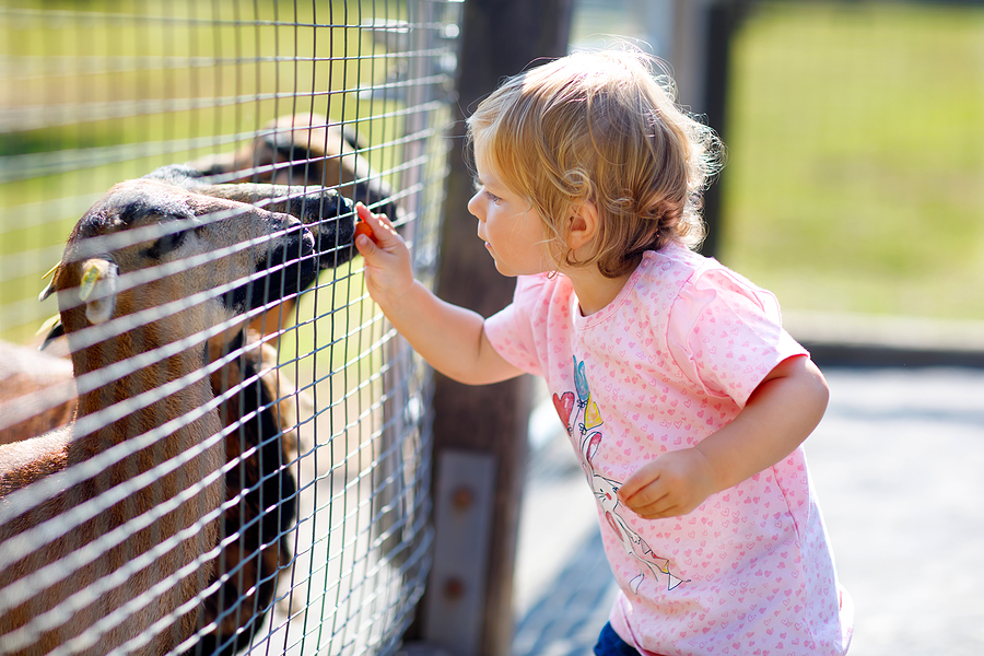 Baby op kinderboerderij