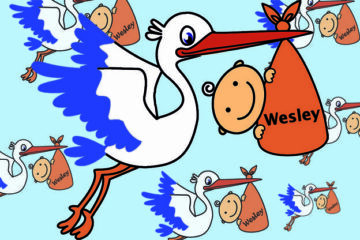 Ooievaar met Wesley Sneijder in z'n bek