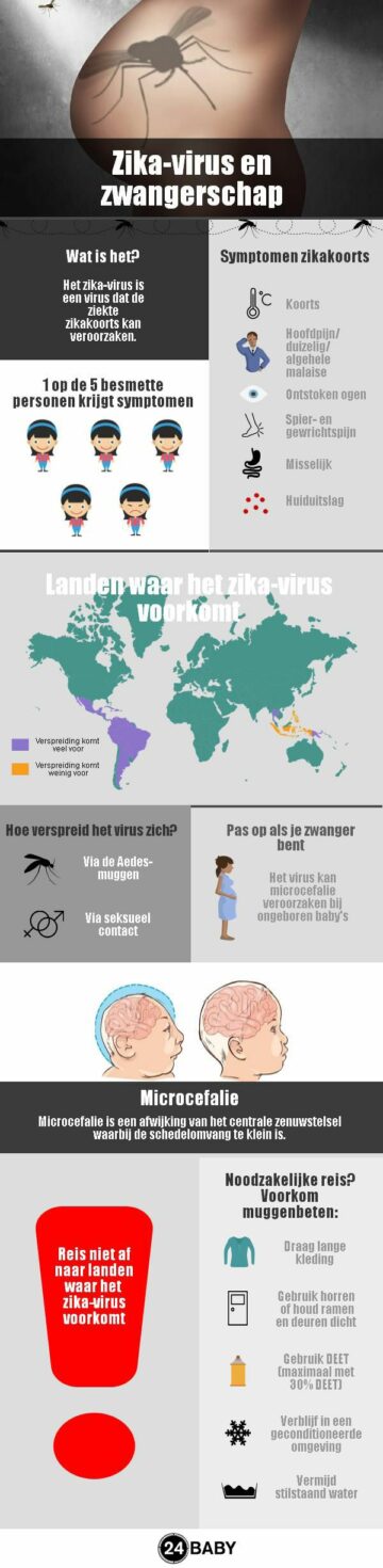 Het Zikavirus En Zwangerschap Wat Zijn De Gevaren 24baby Nl