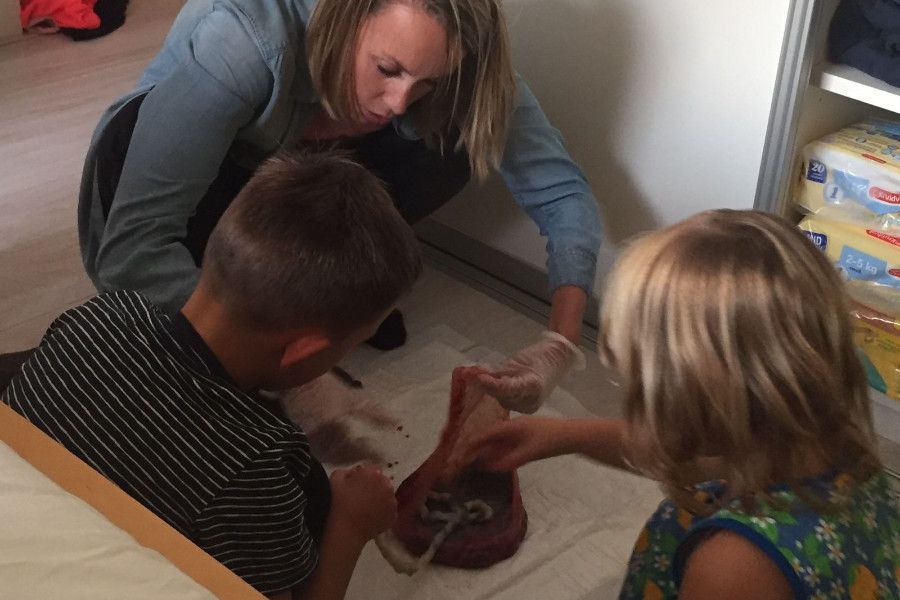 Vrouw laat placenta zien aan twee kindjes