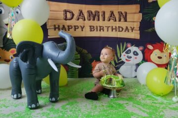 Smash cake Damian