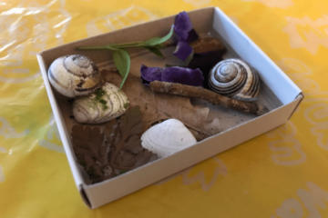 Een minischatkist bestaande uit een luciferdoosje gevuld met schelpjes, slakje, blaadjes en een takje