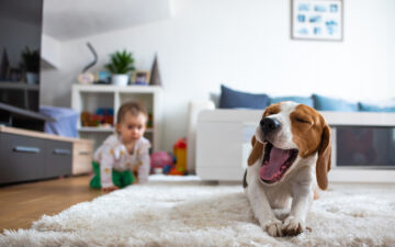 Baby speelt met huisdier in woonkamer