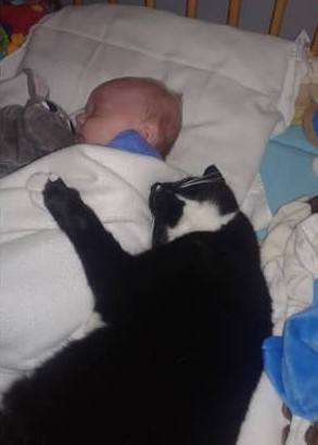Baby en kat slapen samen
