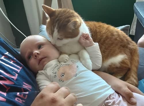 Kat knuffelt met baby