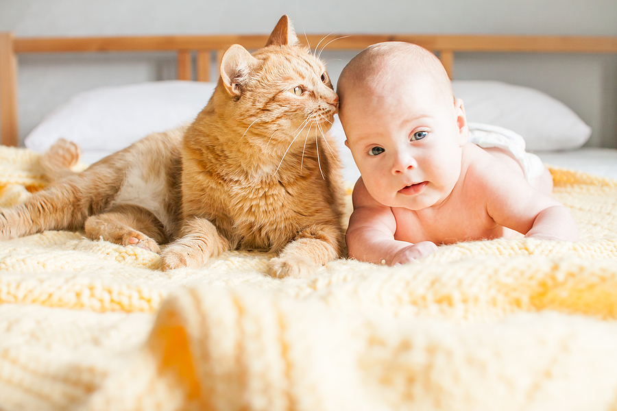 ga verder Cusco Profeet Je baby en een huisdier: zo wordt het een succes – 24Baby.nl