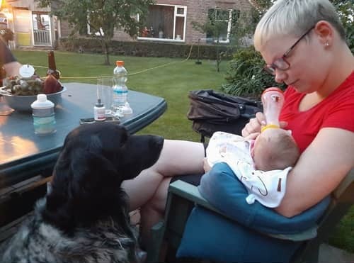 Hond kijkt toe hoe baby flesje krijgt