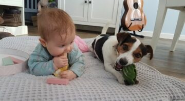 Baby en hondje spelen samen op kleed