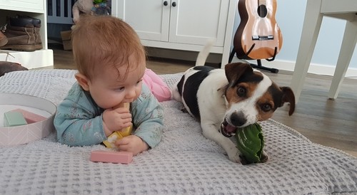 Baby en hondje spelen samen op kleed