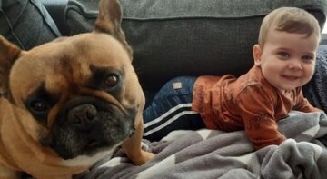 Baby en hond spelen samen op de bank
