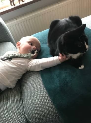 Baby zoekt toenadering bij kat