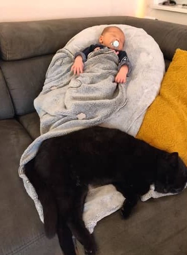 Baby slaapt met huisdier