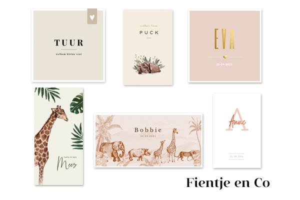 Geboortekaartjes te koop bij Fientje & Co