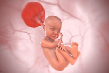 3d baby bij 28 weken