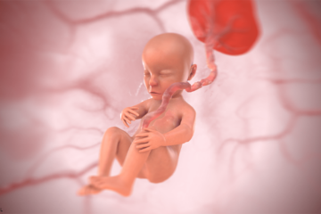 3d baby bij 22 weken