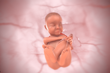 3d baby bij 33 weken