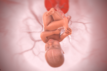 3d baby bij 37 weken