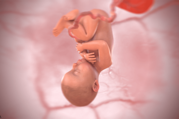 3d baby bij 41 weken