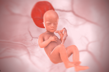3d baby bij 19 weken