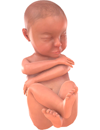 Je baby bij 34 weken