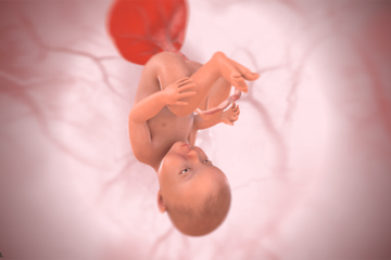 3d baby bij 38 weken