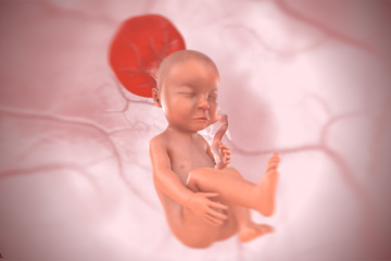 3d baby bij 29 weken