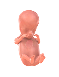 Je baby bij 9 weken