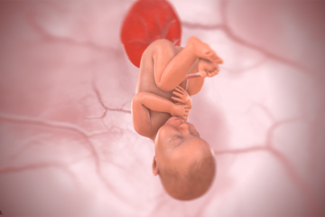3d baby bij 39weken