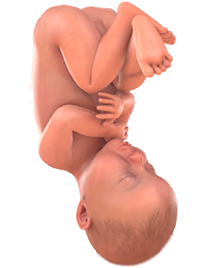Je baby bij 42 weken