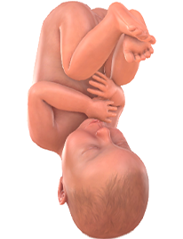 Je baby bij 39 weken