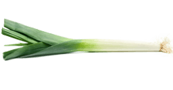 Week-38-baby-zo-groot-als-prei