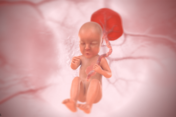 3d baby bij 25 weken