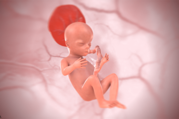3d baby bij 15 weken