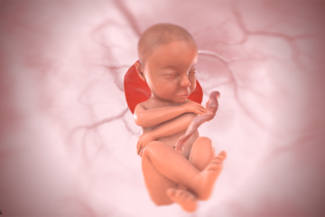 3d baby bij 34 weken
