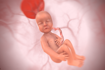 3d baby bij 23 weken