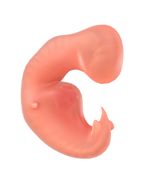 Je baby bij 4 weken