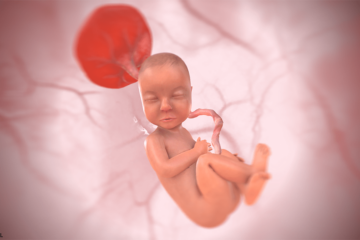 3d baby bij 31 weken