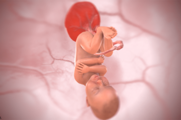 Baby in het derde trimester van de zwangerschap