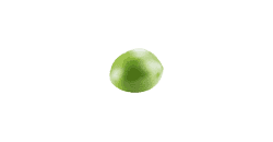 Dein Baby ist so groß wie eine Erbse