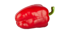 19. SSW Paprika
