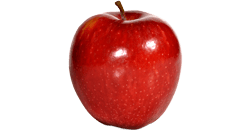Dein Baby ist so groß wie ein Apfel 16. SSW