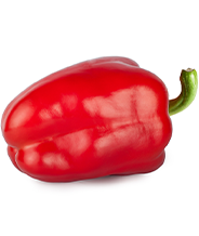 19. SSW Dein Baby ist so groß wie eine Paprika