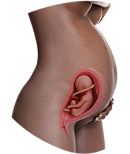28. SSW Babybauch