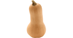 Dein Baby ist so groß wie ein Butternusskürbis 30. SSW