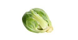12. SSW Rosenkohl