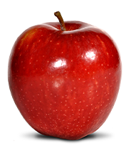 16. SSW Dein baby ist so groß wie ein Apfel