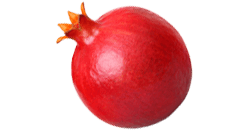 22. SSW Dein baby ist so groß wie ein Granatapfel