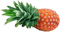 34. SSW dein Baby ist so groß wie eine Ananas