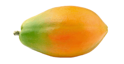 Dein Baby ist so groß wie eine Papaya
