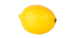 15. SSW Zitrone